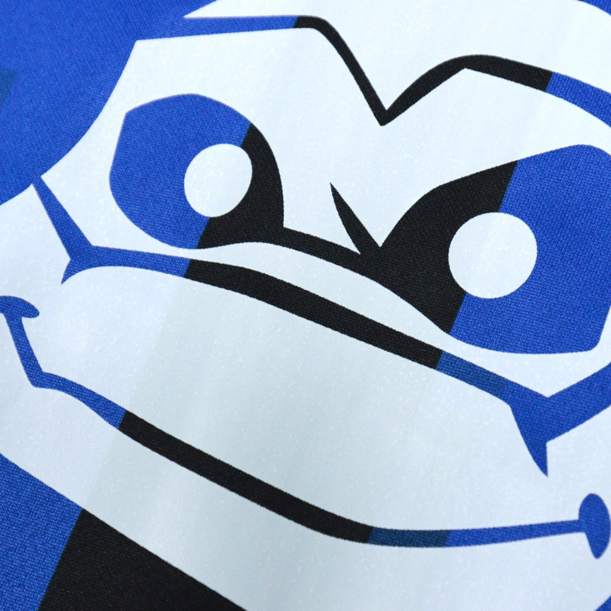 Close-up detail of the Ninja Turtle graphic print