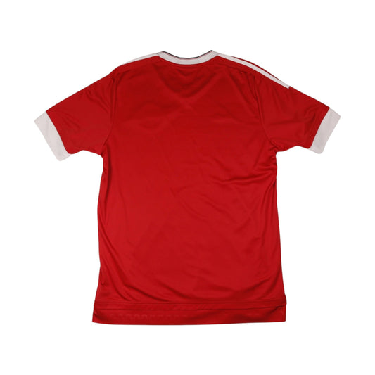 Manchester United 2015/16 home shirt back, plain red with white sleeve cuffs