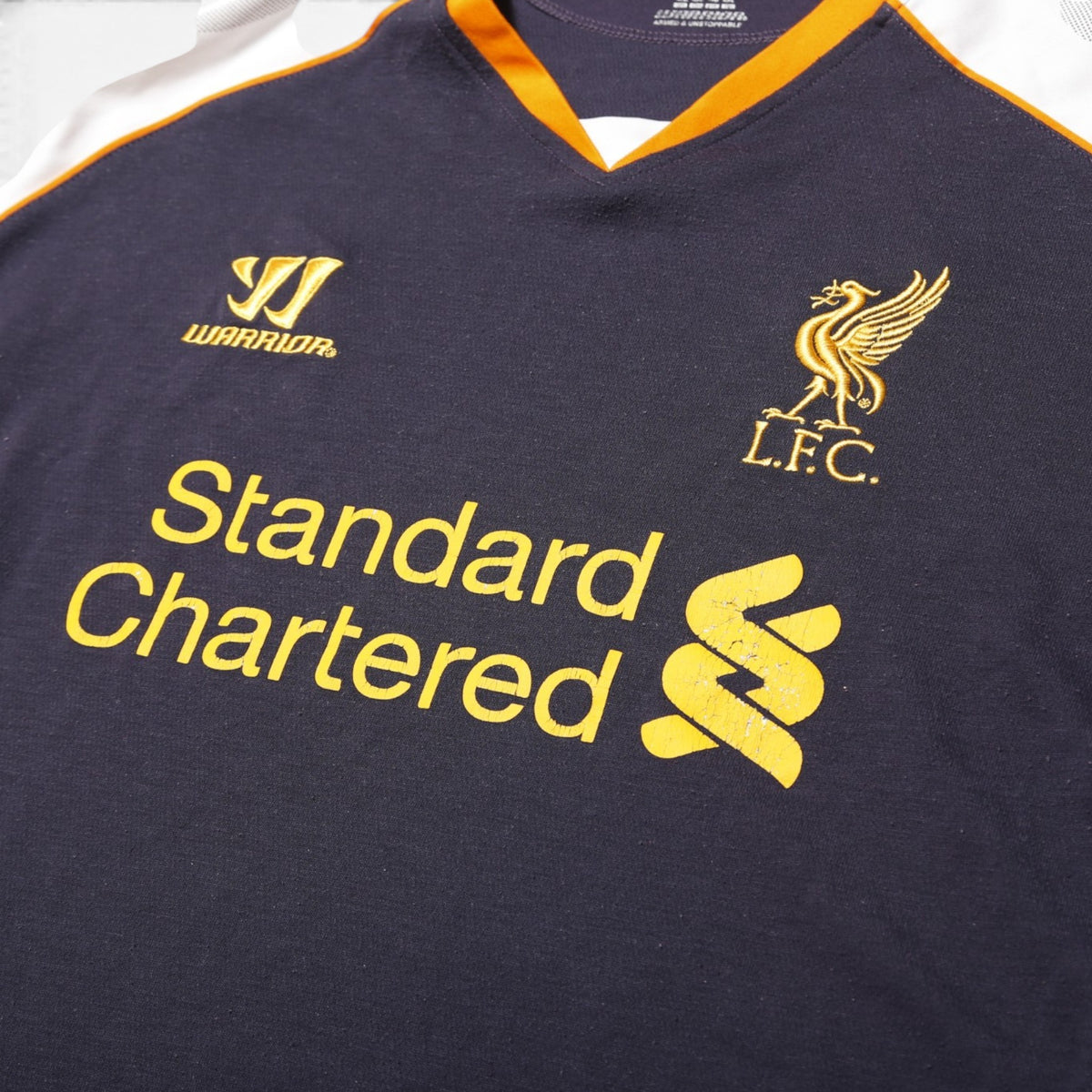 Liverpool 2012-13 third shirt back view showing tribal-pattern sleeves
