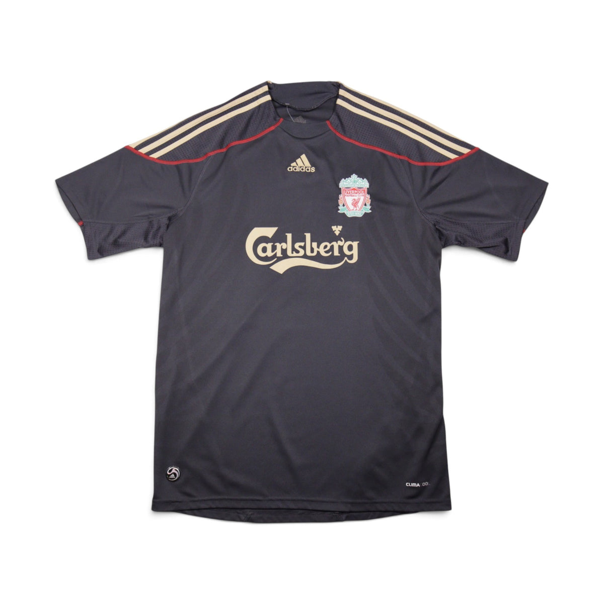 Liverpool 2009/10 away shirt front view, grey adidas kit with Carlsberg sponsor