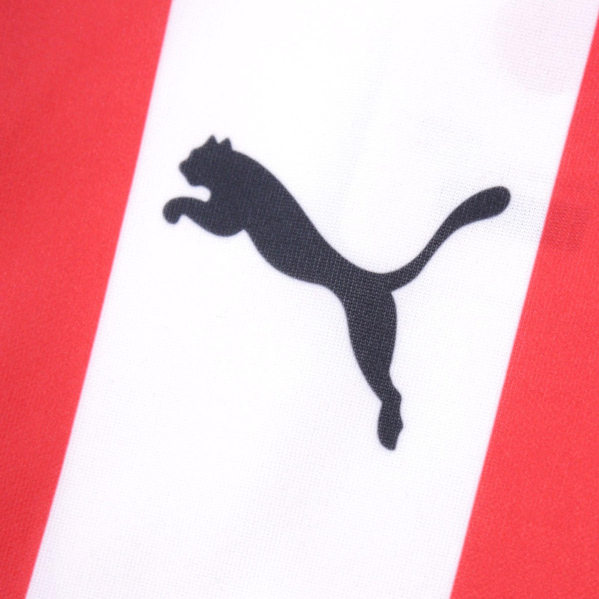 Close-up of Puma logo on chest of shirt