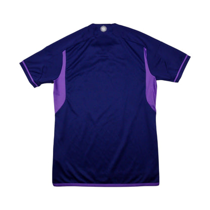Back view of 2022/23 Argentina away shirt showing plain lilac side panels