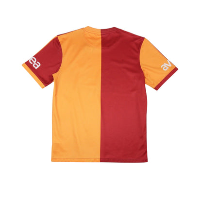 2013/14 Galatasaray home shirt back view