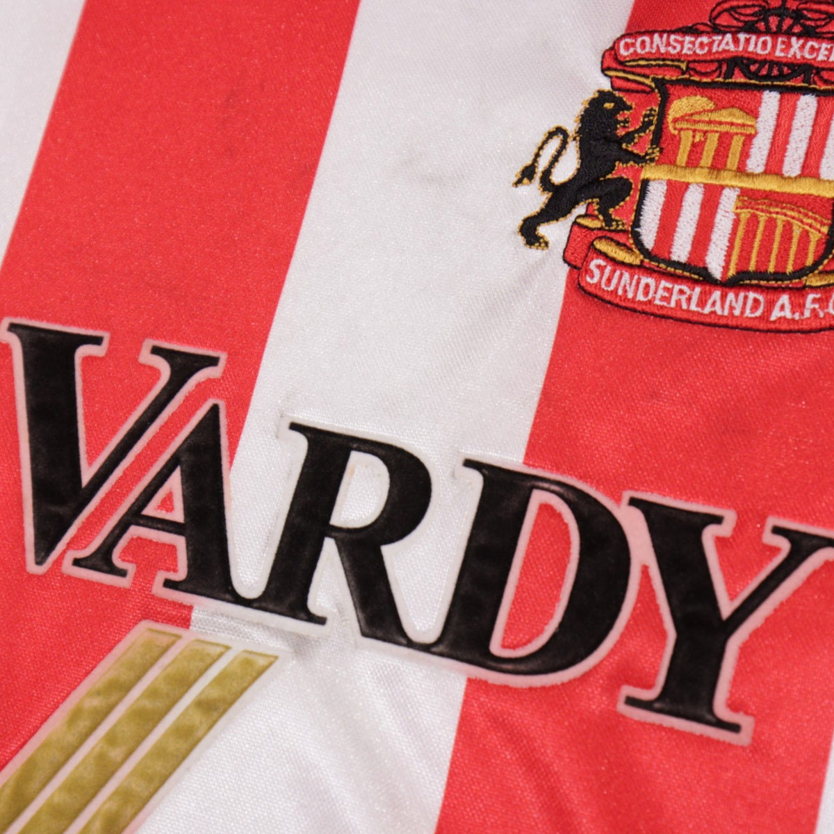 Close-up of the Sunderland club crest and Reg Vardy sponsor print