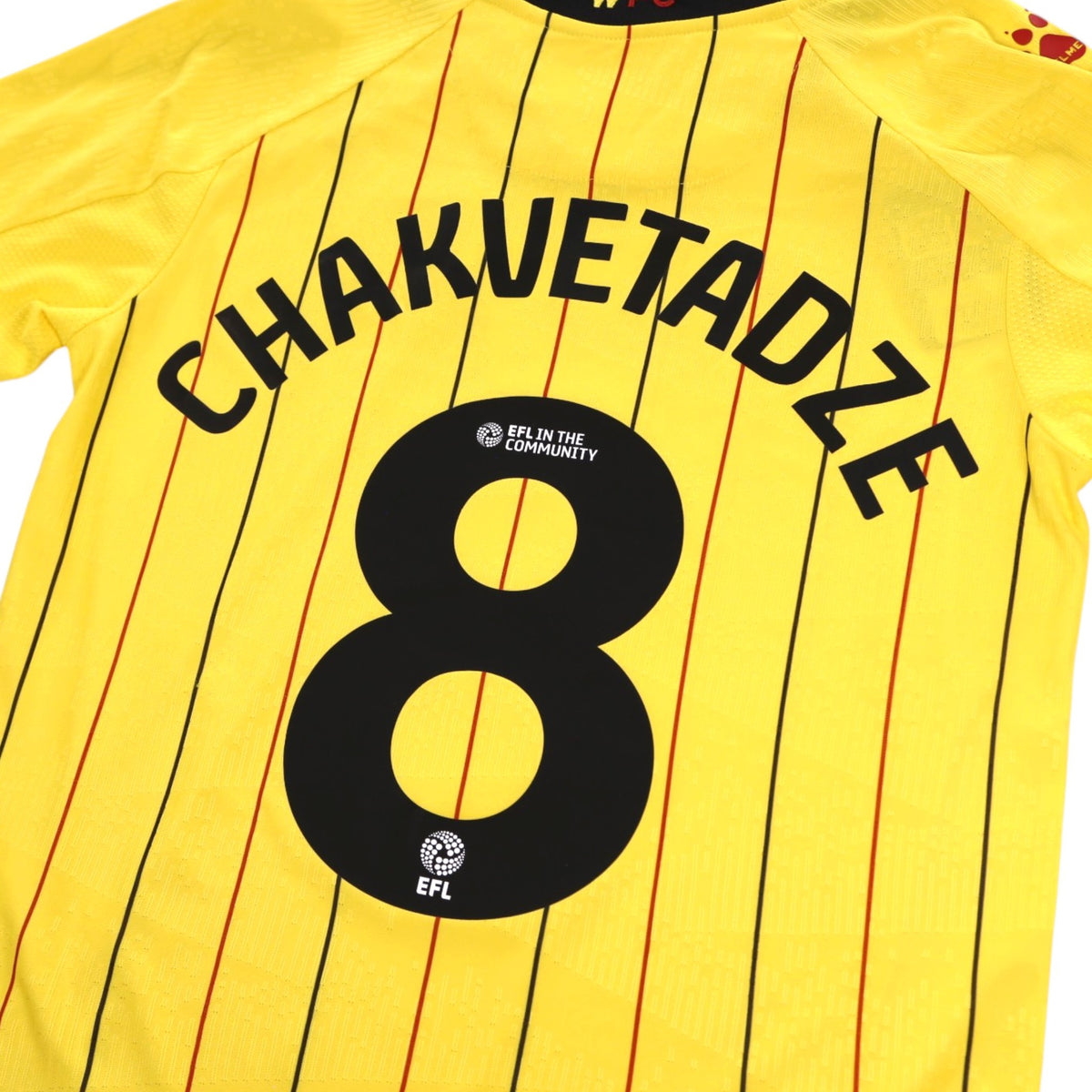 Close-up of Chakvetadze name and number 8 on the back of the shirt