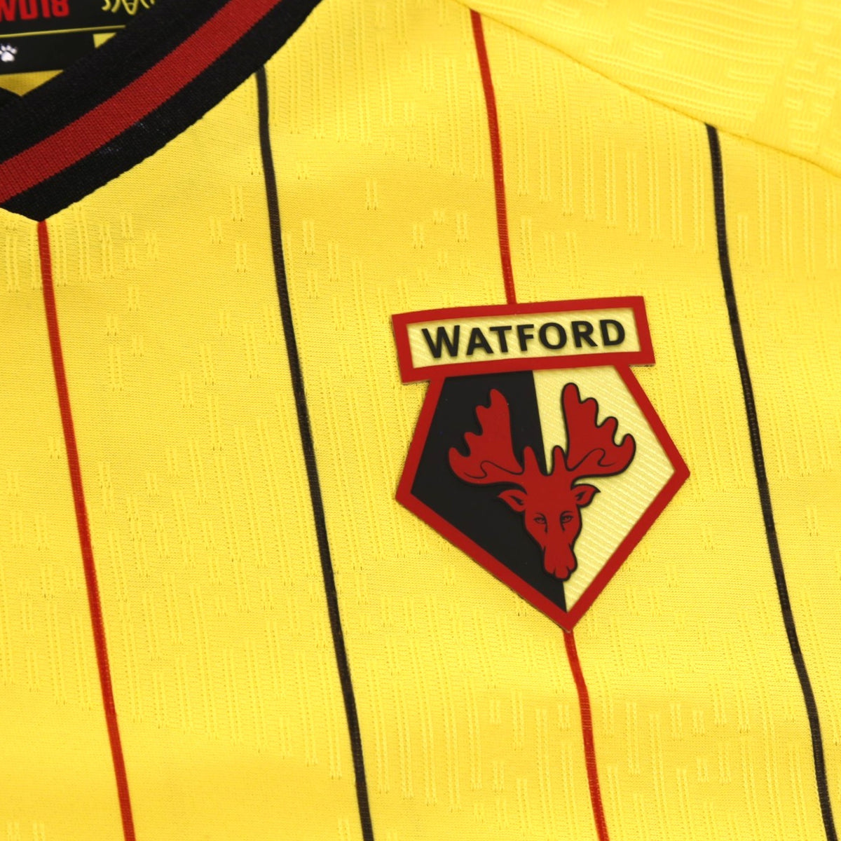 Close-up of the Watford crest on the chest