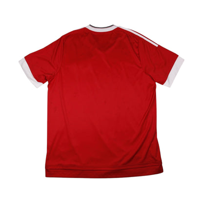 Back of 2015/16 Manchester United home shirt, plain with no name or number