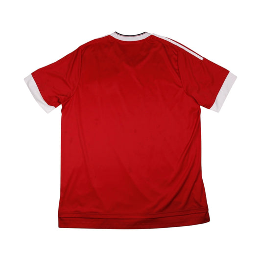 Back of 2015/16 Manchester United home shirt, plain with no name or number