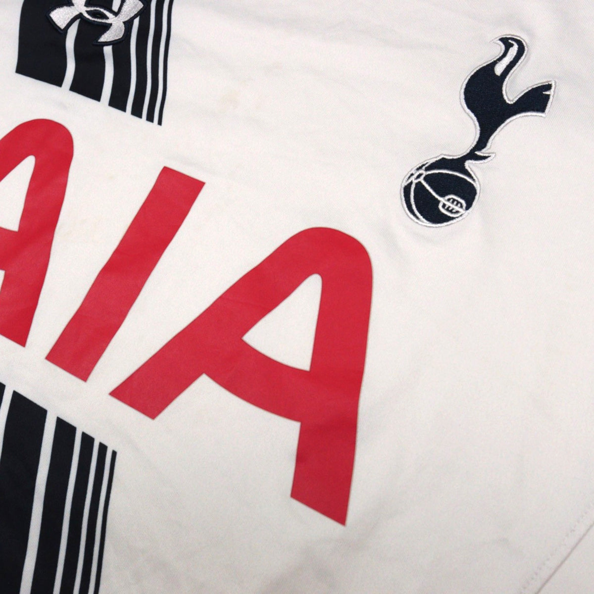 Close-up of the AIA sponsor print and crest on the chest