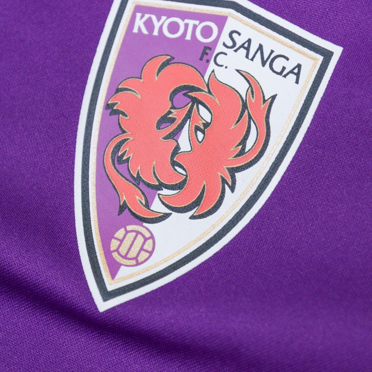 Close-up of the Kyoto Sanga crest with a star above it