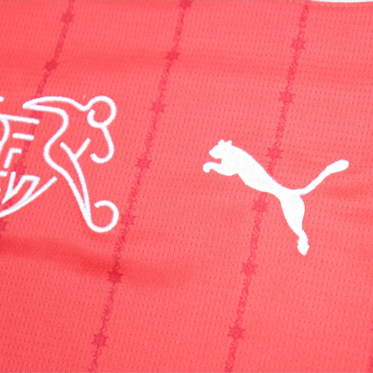 Close-up of Puma logo and pinstripe fabric pattern on Switzerland shirt