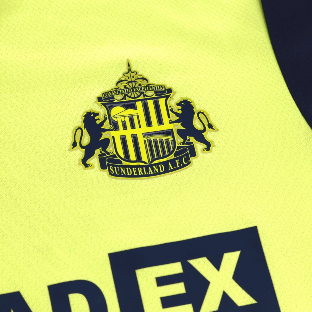 Close-up of the Sunderland A.F.C. crest on the chest of the shirt