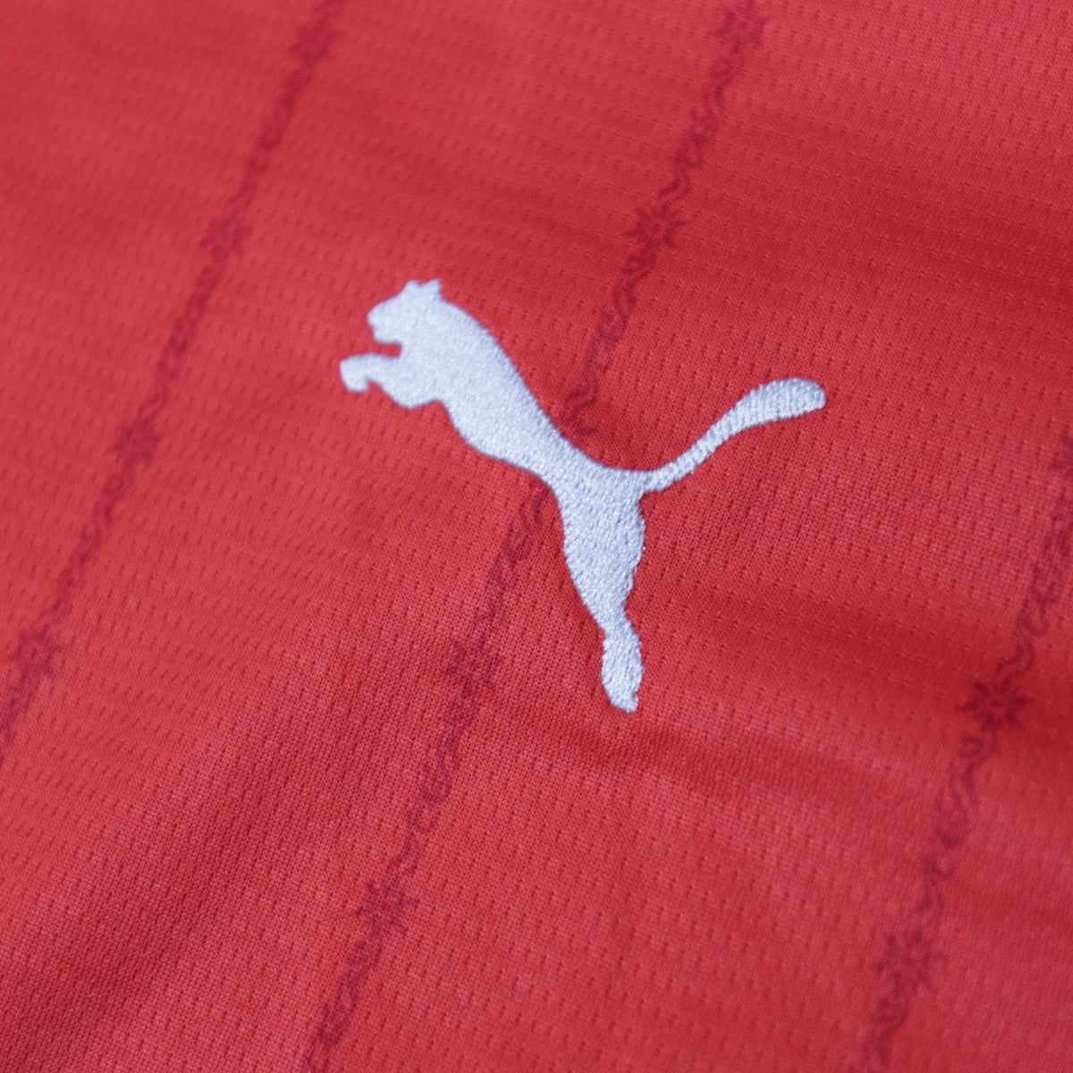 Close-up of the Puma logo on the fabric